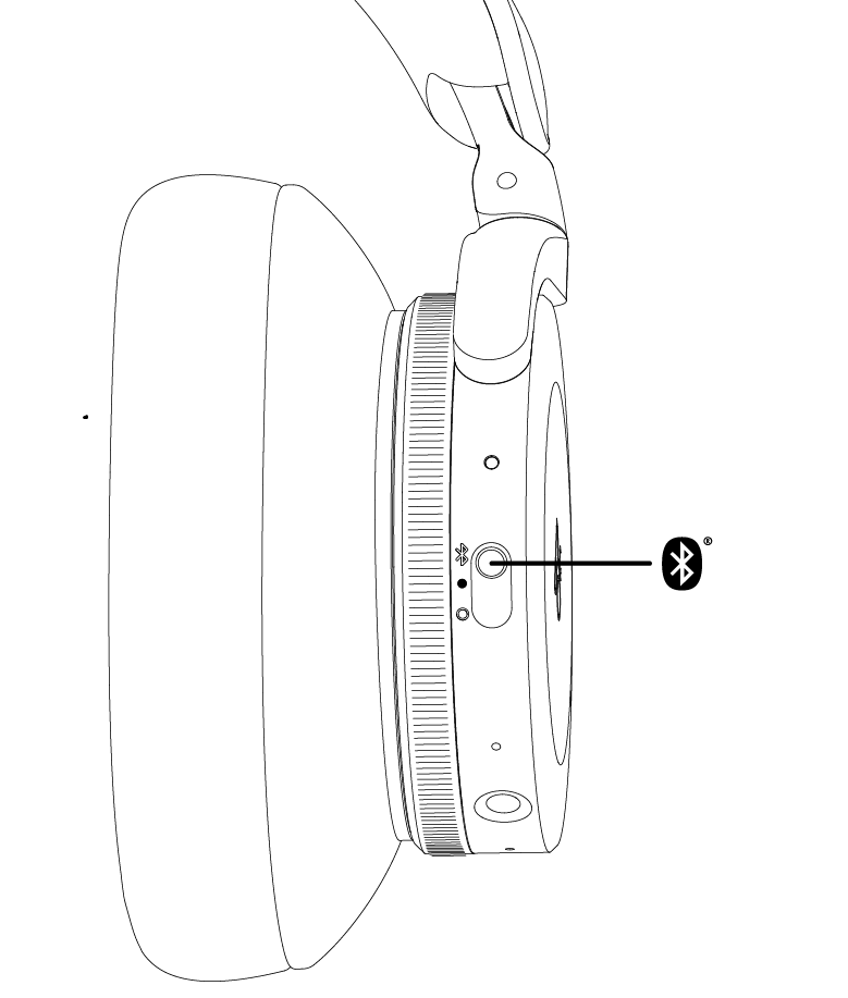 mceclip3.png