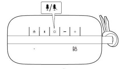 P6_Mute.jpg