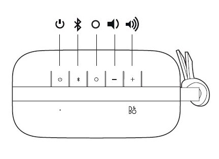 P61.jpg