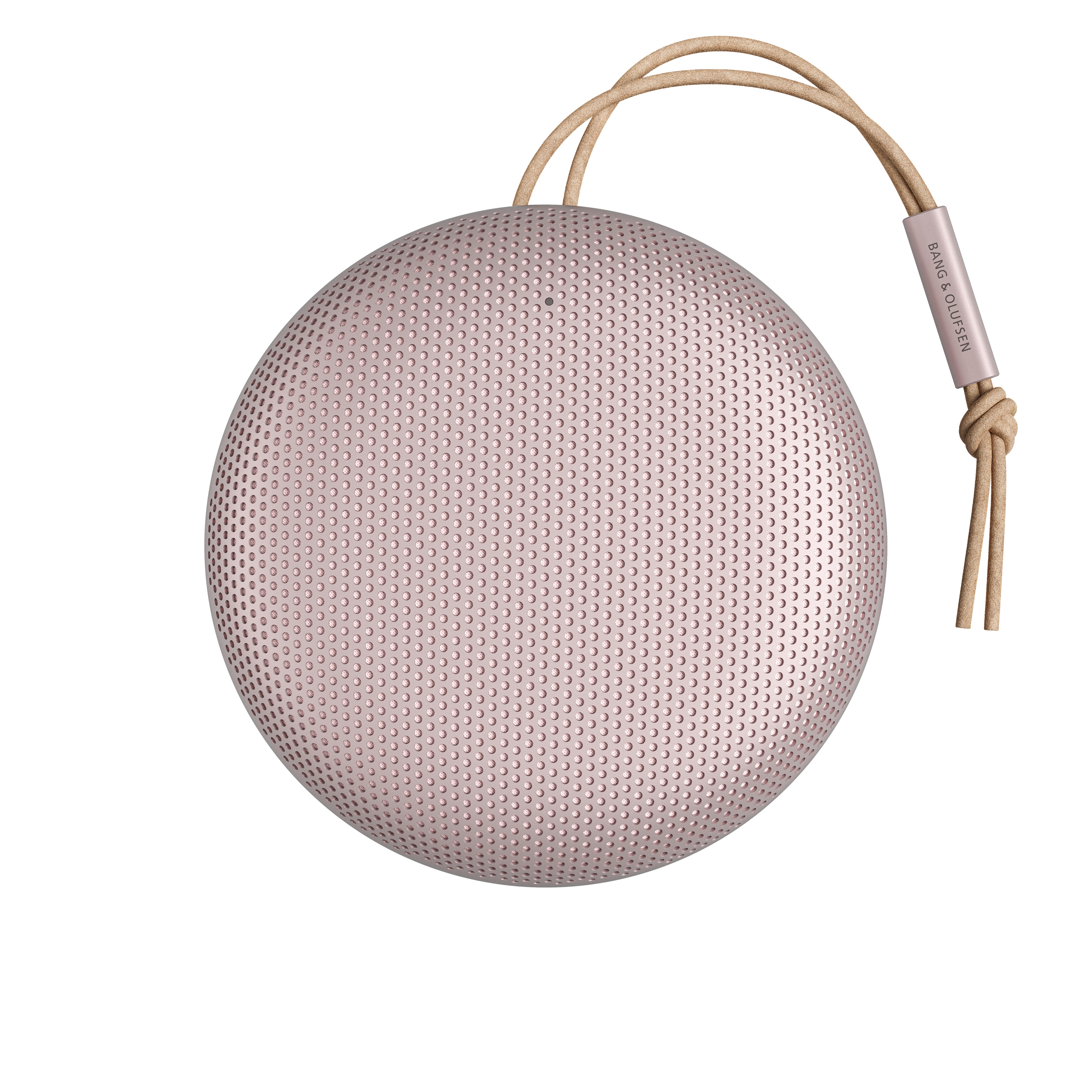 How do I know which Beoplay/Beosound A1 variant I have? – Bang