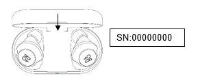 bang olufsen serial number check